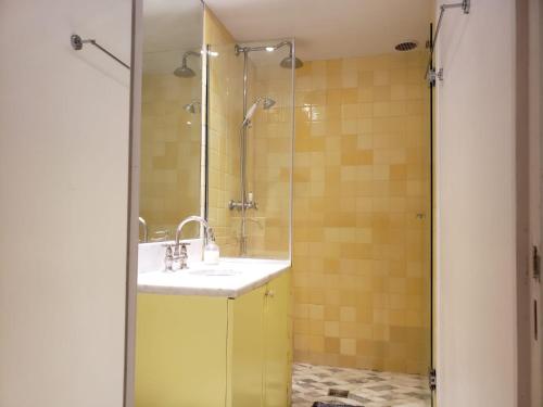 une salle de bain avec un lavabo et une douche dans l'établissement LOUVRE ST GERMAIN Rue VERNEUIL, à Paris
