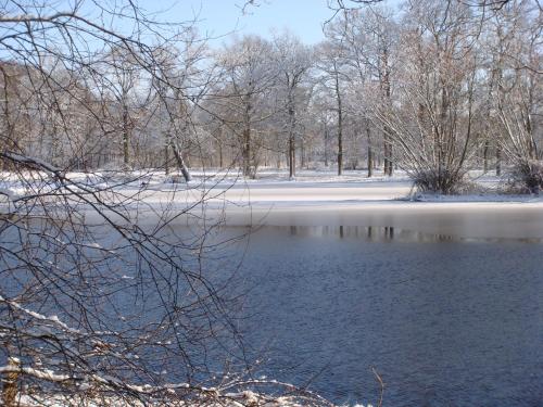 a body of water with trees and snow on the ground at B&B De Grote Plaats in Hoogstraten