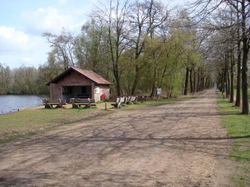a dirt road with a small building next to a lake at B&B De Grote Plaats in Hoogstraten