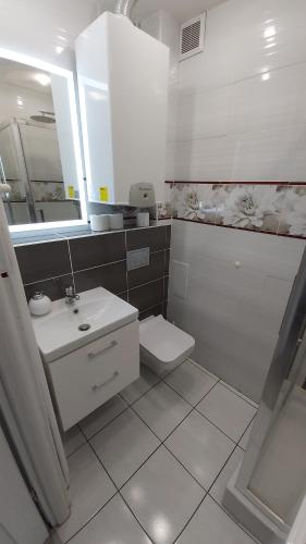 een badkamer met een wastafel, een toilet en een spiegel bij Apartament w Centrum in Sandomierz