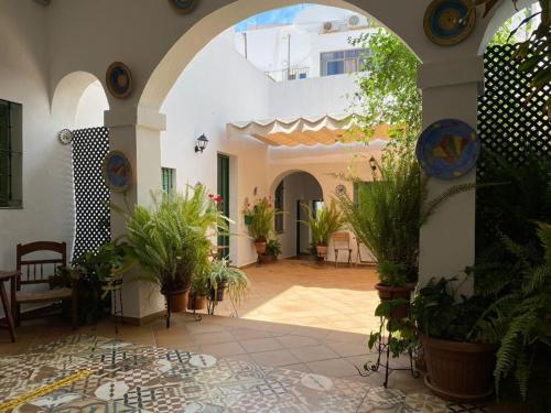 Apartamentos El Arco