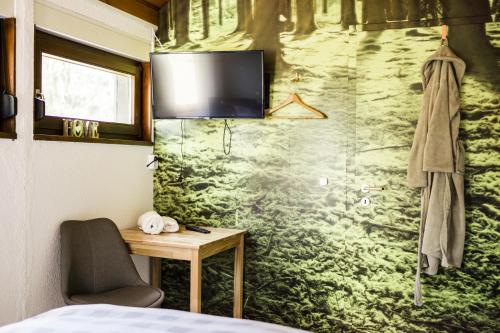 a room with a bed and a desk and a tv on a wall at Zur grossen Tanne in Bühl