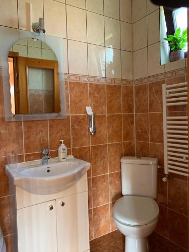 a bathroom with a toilet and a sink and a mirror at Pensiunea M&M in Bran