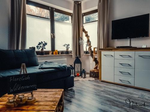 a living room with a couch and a tv at Ferienwohnung Naturnah in Goslar