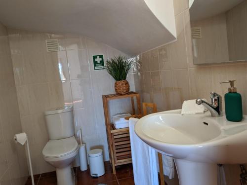 een badkamer met toilet en wastafel bij The Palm House in Ovar