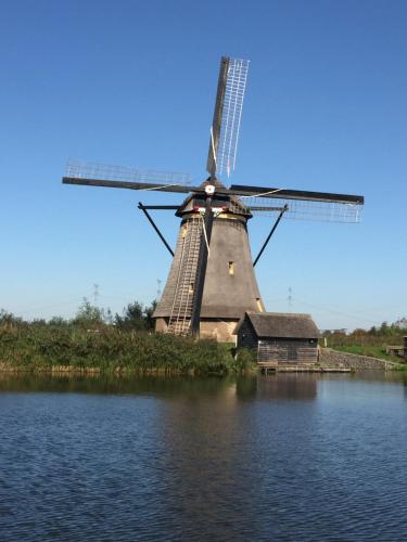 a windmill sitting in the middle of a body of water at Het Boenhok logies in Lekkerkerk