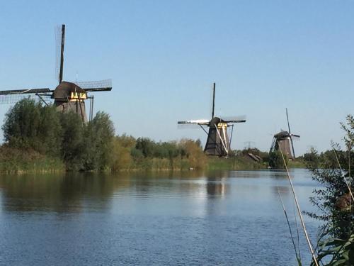 a group of three windmills sitting on the water at B&B Het Boenhok in Lekkerkerk