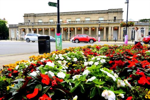 a flower bed of flowers in front of a building at Leamington Spa Warwick Place Apartments in Leamington Spa