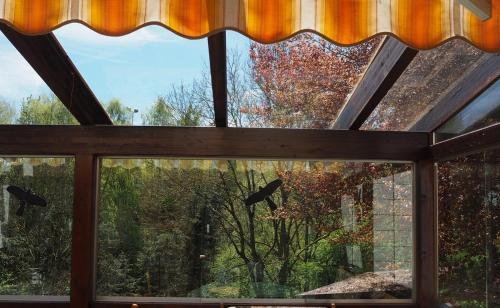 a window with a view of a tree at Ferienhaus-stadtkyll-eifel Beim Förster mit zwei Schlafzimmern in Stadtkyll