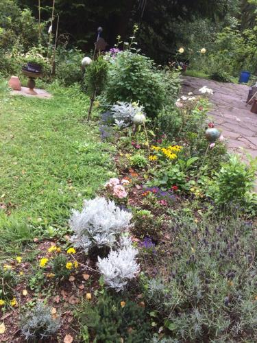 a garden filled with lots of plants and flowers at Ferienhaus-stadtkyll-eifel Beim Förster mit zwei Schlafzimmern in Stadtkyll