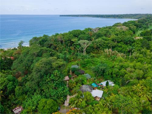 una vista aérea de un bosque con el océano en Bungalows Aché Cahuita en Cahuita
