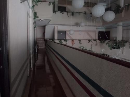 a long hallway with a bar with plants on it at Hotel Raldos Inn in Salamanca