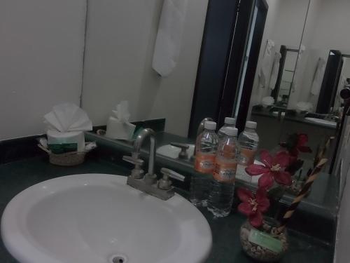 a bathroom with a sink and a mirror and a white sink at Hotel Raldos Inn in Salamanca