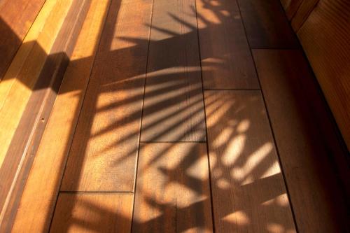 a shadow of a tree on a wooden floor at Moon's Cafe in Onomichi