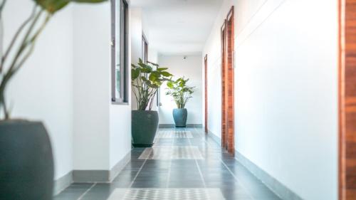 a hallway with potted plants on the walls at Angkor Aurora in Siem Reap