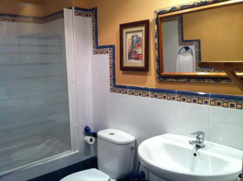 a bathroom with a toilet and a sink and a shower at Apartamentos Alquitara in Potes