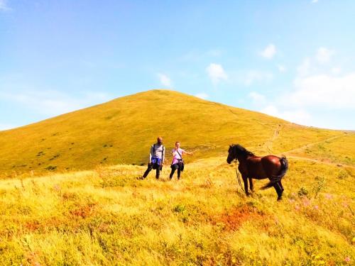 two people walking a horse on a hill at Family Green in Sasovka