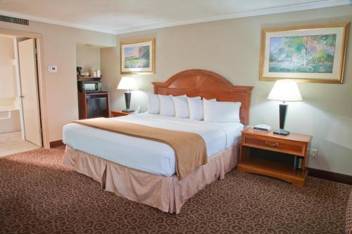 ein Schlafzimmer mit einem großen Bett in einem Hotelzimmer in der Unterkunft Red Arrow Boutique Hotel in Montrose