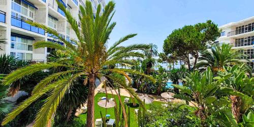 un grupo de palmeras frente a un edificio en SKOL 233. Wonderful Two Bedroom Apartment in Marbella Center., en Marbella