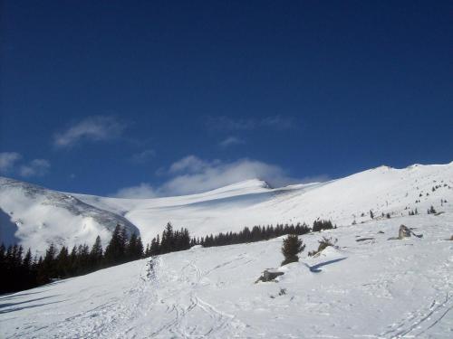 a snow covered mountain with trees on the side of it at Gasthof Trattner Pension Waldhof in Sankt Peter am Kammersberg