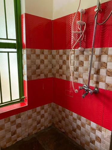 Mondi Lodge Kisoro – Photos 4