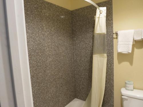 a bathroom with a shower and a toilet at Inn at Mexia in Mexia