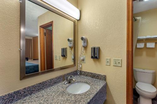 a bathroom with a sink and a mirror and a toilet at Econo Lodge Nashville North - Opryland in Nashville