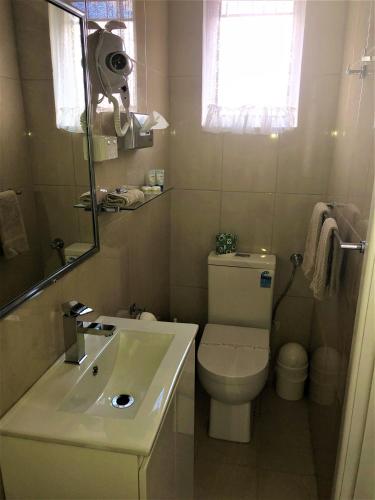 a small bathroom with a toilet and a sink at Bradman Motor Inn in Cootamundra