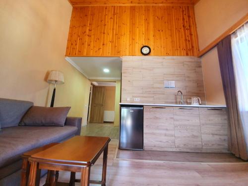 a living room with a couch and a kitchen at Nino Ratiani's Guesthouse in Mestia