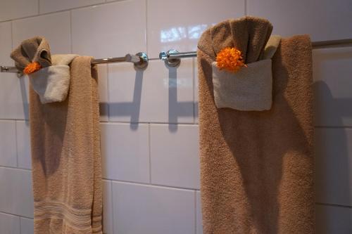  Cariñas Studio Apartments -  Room  picture :   Tea/Coffee maker    Shower    Safety deposit box                           