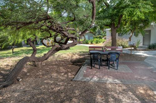 a table and chairs under a tree in a park at Degania Bet Kibbutz Country Lodging in Kinneret