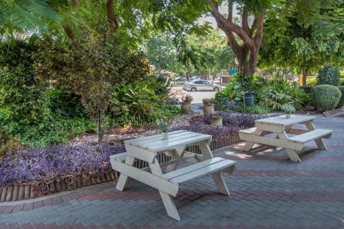 two picnic tables sitting on a brick sidewalk with trees at Degania Bet Kibbutz Country Lodging in Kinneret