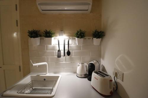 um balcão de cozinha com um lavatório e algumas plantas em Valletta Central Suites em Valletta