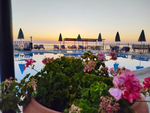 a potted plant with flowers in front of a pool at Anaxos Hill in Anaxos