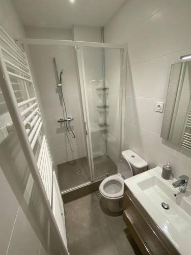 uma casa de banho com um chuveiro, um WC e um lavatório. em Studio meublé tout confort en Centre Ville em Aix-les-Bains