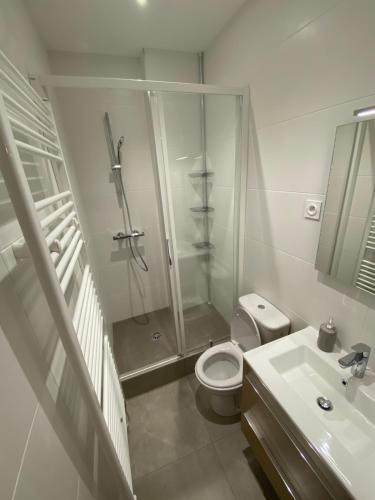 une salle de bain avec une douche, des toilettes et un lavabo dans l'établissement Studio meublé en Centre Ville avec vue sur la Dent du Chat, à Aix-les-Bains