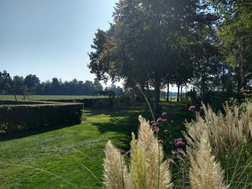 Jardín al aire libre en B&B-Hotel de Joremeinshoeve