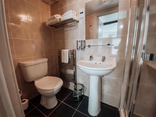 a bathroom with a toilet and a sink at The Blenheim Buttery in Woodstock