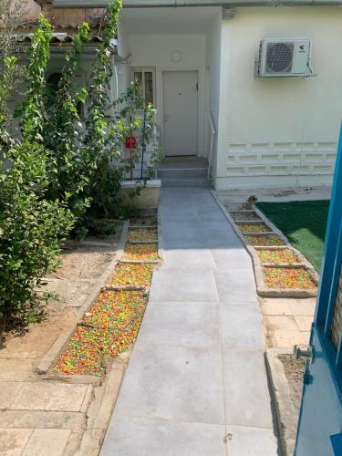 a garden with colorful flowers on the sidewalk at PREMIUM COMFORT PRIVATE in Beer Sheva