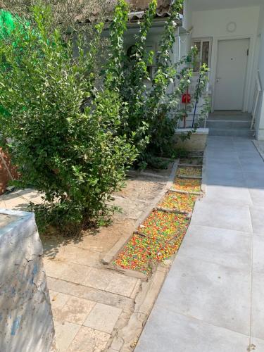 a garden with a bunch of candy on the sidewalk at PREMIUM COMFORT PRIVATE in Beer Sheva