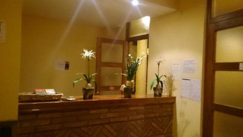 a bathroom with a mirror and flowers in vases at Hospedería Villa de Pintano in Pintano