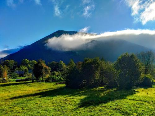 a green field with a mountain in the background at Закарпатский сруб in Krasna