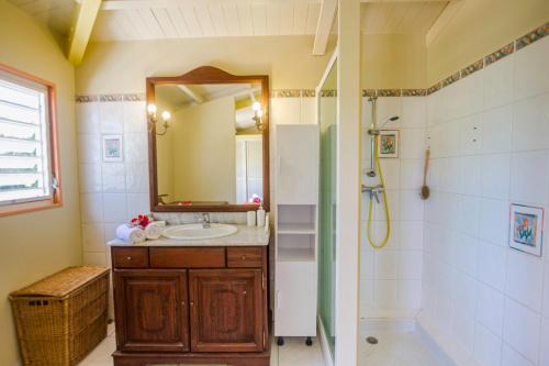 a bathroom with a sink and a shower and a mirror at GREEN HOUSE in Deshaies