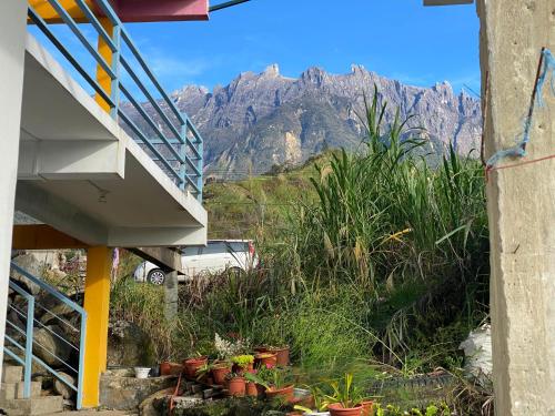 a view of a mountain from a house with plants at Kupi-Kupi & Stay in Kundasang