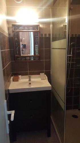 une salle de bain avec un lavabo et une douche dans l'établissement cap coudalere, au Barcarès