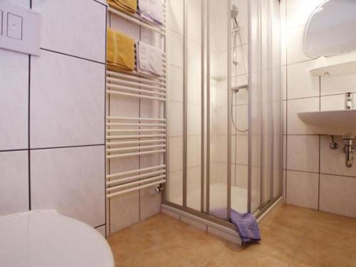 een badkamer met een douche, een toilet en een wastafel bij Appartementhaus Looss in Altenau