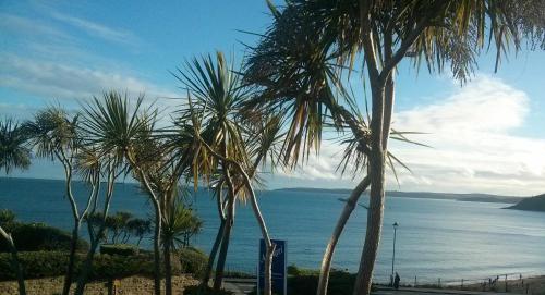 a beach with palm trees and palm trees at Anacapri in Falmouth