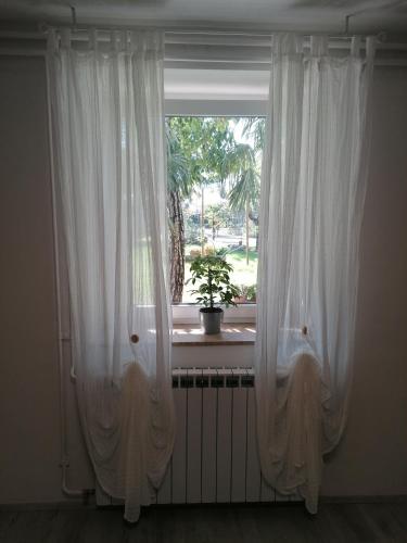 two white curtains in a window with a potted plant at Domačija Mirko in Miren