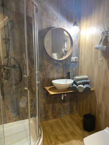 a bathroom with a sink and a shower with a mirror at Apartamenty Liwa in Kwidzyn