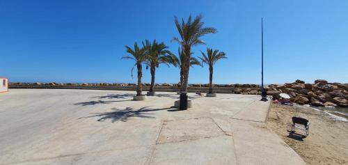 NEW 2020 Residencial Aqua Beach -Apartment Torrevieja Center photo 55